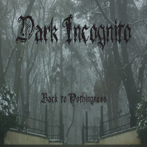 Dark Incognito : Back to Nothingness